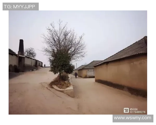 安徽宁国：篮球为媒 激活村庄新生机