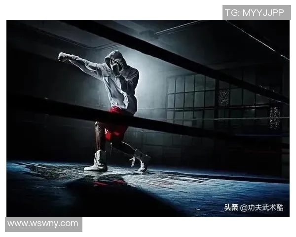 拳台依然是搏斗运动的终极试炼场：工作拳击王者位置无可撼动